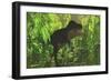 Thick Jungle Foliage Hides a Large Tyrannosaurus Rex as He Hunts for Prey-Stocktrek Images-Framed Art Print