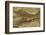 Thick-Tailed Gecko-Joe McDonald-Framed Photographic Print