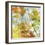 Thicket I Left-John Butler-Framed Giclee Print