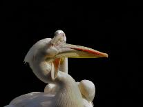 Standing toward the light...-Thierry Dufour-Photographic Print