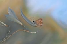 Standing toward the light...-Thierry Dufour-Photographic Print