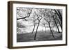 Thin Trees with Figures on Hill-Sharon Wish-Framed Photographic Print