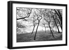 Thin Trees with Figures on Hill-Sharon Wish-Framed Photographic Print