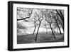 Thin Trees with Figures on Hill-Sharon Wish-Framed Photographic Print