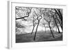 Thin Trees with Figures on Hill-Sharon Wish-Framed Photographic Print