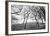 Thin Trees with Figures on Hill-Sharon Wish-Framed Photographic Print