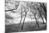 Thin Trees with Figures on Hill-Sharon Wish-Mounted Photographic Print