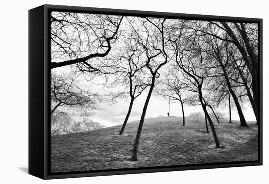 Thin Trees with Figures on Hill-Sharon Wish-Framed Stretched Canvas
