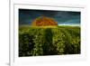 ThingstŠtte in Neuhorst at the Oldenburg Wall-Thomas Ebelt-Framed Photographic Print