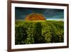 ThingstŠtte in Neuhorst at the Oldenburg Wall-Thomas Ebelt-Framed Photographic Print