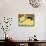 Think A Happy Thought Yellow Black Cat-Stephen Huneck-Mounted Giclee Print displayed on a wall