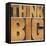 Think Big Motivational Phrase - Isolated Text Abstract - Letterpress Wood Type Printing Blocks-PixelsAway-Framed Stretched Canvas