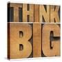 Think Big Motivational Phrase - Isolated Text Abstract - Letterpress Wood Type Printing Blocks-PixelsAway-Stretched Canvas