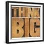 Think Big Motivational Phrase - Isolated Text Abstract - Letterpress Wood Type Printing Blocks-PixelsAway-Framed Art Print