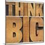 Think Big Motivational Phrase - Isolated Text Abstract - Letterpress Wood Type Printing Blocks-PixelsAway-Mounted Art Print