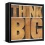 Think Big Motivational Phrase - Isolated Text Abstract - Letterpress Wood Type Printing Blocks-PixelsAway-Framed Stretched Canvas