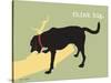 Think Big-Dog is Good-Stretched Canvas