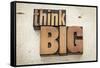 Think Big-PixelsAway-Framed Stretched Canvas