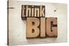 Think Big-PixelsAway-Stretched Canvas