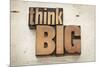 Think Big-PixelsAway-Mounted Photographic Print