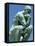 Thinker, by Rodin, Musee Rodin, Paris, France, Europe-Ken Gillham-Framed Stretched Canvas