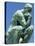 Thinker, by Rodin, Musee Rodin, Paris, France, Europe-Ken Gillham-Stretched Canvas