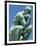 Thinker, by Rodin, Musee Rodin, Paris, France, Europe-Ken Gillham-Framed Photographic Print