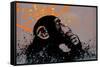 Thinker Monkey - The Graffiti Collection-Trends International-Framed Stretched Canvas