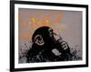 Thinker Monkey-The Graffiti Collection-Framed Giclee Print