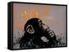 Thinker Monkey-The Graffiti Collection-Framed Stretched Canvas