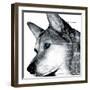 Thinking Dog-Meiya Y-Framed Giclee Print