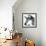 Thinking Dog-Meiya Y-Framed Giclee Print displayed on a wall