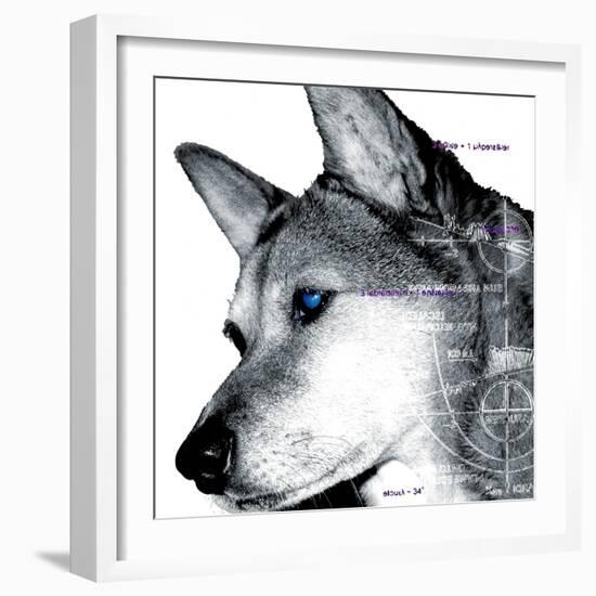 Thinking Dog-Meiya Y-Framed Giclee Print