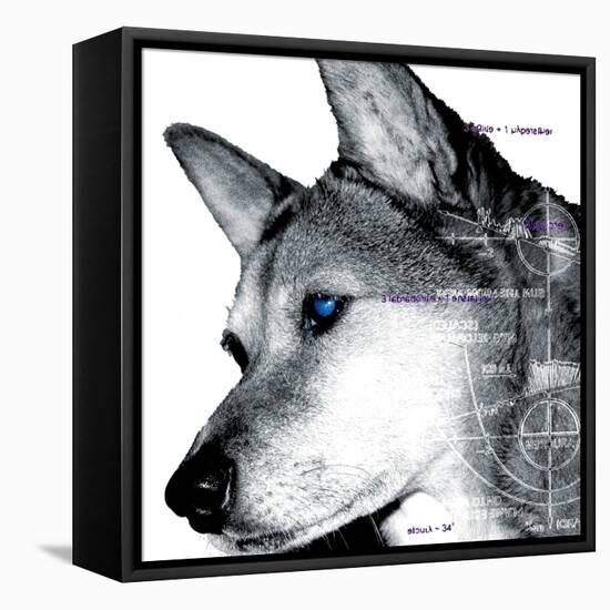 Thinking Dog-Meiya Y-Framed Stretched Canvas