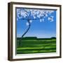 Thinking Spring-Herb Dickinson-Framed Photographic Print