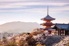 Sunset at Kiyomizu-Dera Temple and Cherry Blossom Season (Sakura) on Spring Time in Kyoto, Japan-thipjang-Stretched Canvas