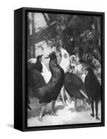 Third Act of the Play Chantecler by Rostand, 1910-Rene Lelong-Framed Stretched Canvas