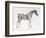 Third Anatomical Table, from "The Anatomy of the Horse"-George Stubbs-Framed Giclee Print