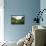 Thirlmere-John Glover-Framed Stretched Canvas displayed on a wall