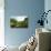 Thirlmere-John Glover-Mounted Giclee Print displayed on a wall