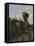 Thirst in Fields-Niccolo Cannicci-Framed Stretched Canvas