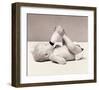 Thirsty Baby-H^ Armstrong Roberts-Framed Art Print