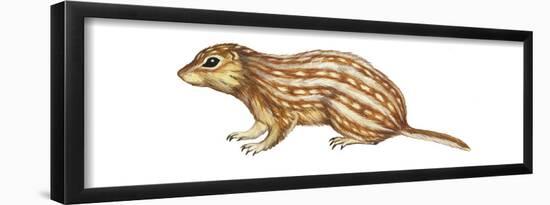 Thirteen-Lined Ground Squirrel (Citellus Tridecemlineatus), Mammals-Encyclopaedia Britannica-Framed Poster