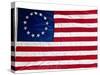 Thirteen-Star Flag of the New United States at Hanging at the Monmouth, New Jersey-null-Stretched Canvas