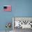 Thirteen-Star Flag of the New United States at Hanging at the Monmouth, New Jersey-null-Photographic Print displayed on a wall