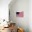 Thirteen-Star Flag of the New United States at Hanging at the Monmouth, New Jersey-null-Photographic Print displayed on a wall