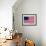 Thirteen-Star Flag of the New United States at Hanging at the Monmouth, New Jersey-null-Framed Photographic Print displayed on a wall