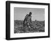 Thirteen-Year Old African American Sharecropper Boy Plowing in July 1937-Dorothea Lange-Framed Art Print