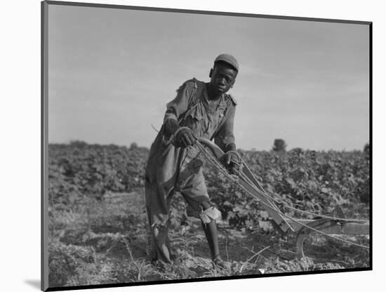 Thirteen-Year Old African American Sharecropper Boy Plowing in July 1937-Dorothea Lange-Mounted Art Print