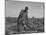 Thirteen-Year Old African American Sharecropper Boy Plowing in July 1937-Dorothea Lange-Mounted Art Print